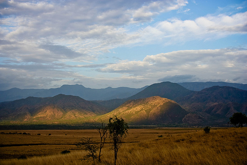 Nechi Sar National Park